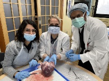 RajshekerHeartDissection